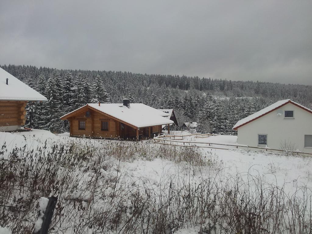 Quellenhof Altenau Altenau  Esterno foto