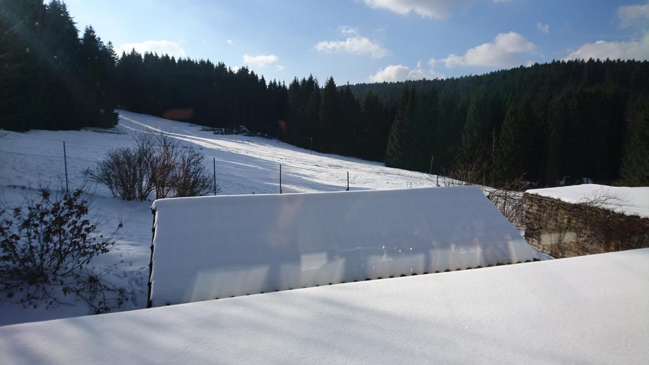 Quellenhof Altenau Altenau  Esterno foto